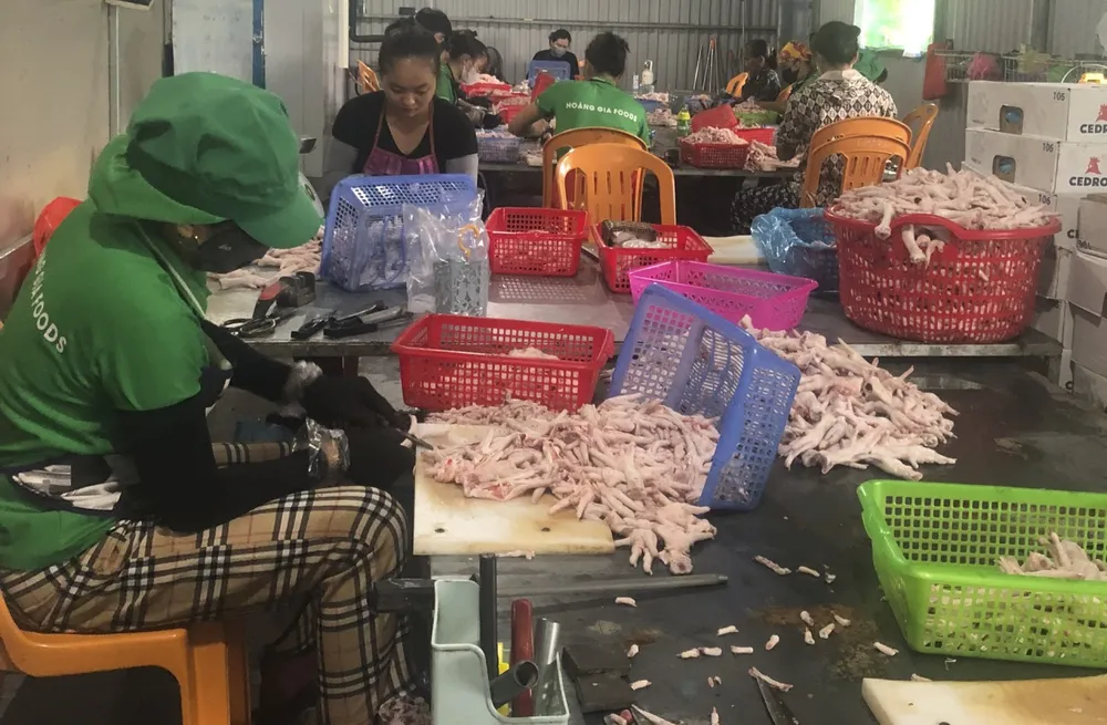 Lực lượng chức năng phát hiện khoảng 3 tấn gà đông lạnh không rõ nguồn gốc và trong xưởng có khoảng 10 nhân viên đang tiến hành các công đoạn sơ chế. Ảnh: CA Phát hiện 3 tấn gà đông lạnh không rõ nguồn gốc ở Quảng Bình