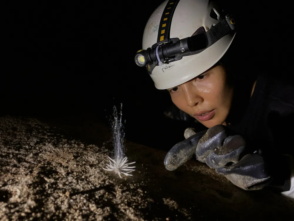 Loài sinh vật lạ này được nhóm thám hiểm phát hiện tại hang Hùng (thuộc hang Hung Thoòng). Ảnh: CTV Can-canh-loai-sinh-vat-la-vua-duoc-phat-hien-o-Phong-Nha-Ke-Bang.jpg