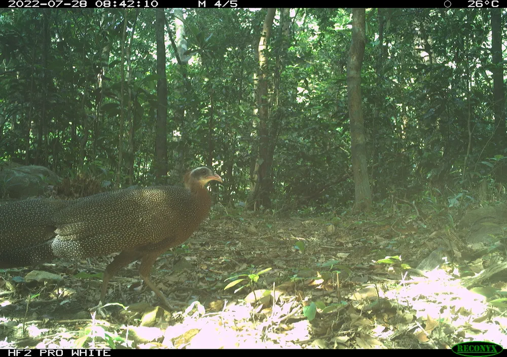 DCKNT 28__HLPWK008118618__2022-07-28__08-42-10(9).JPG