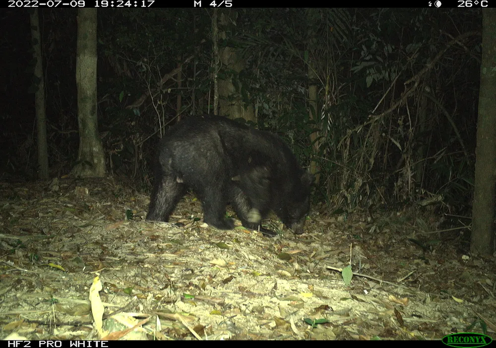 DCKNT 31__HLPWK008120736__2022-07-09__19-24-17(19).JPG