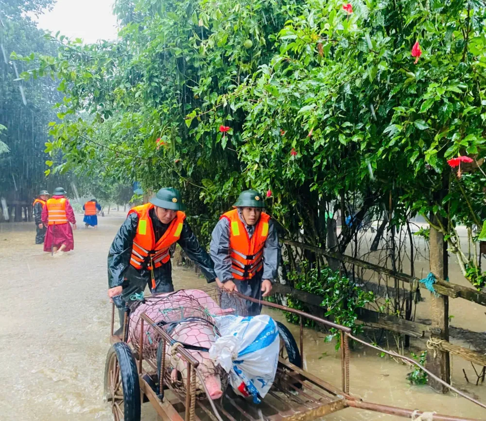 nuoc-lu-cuon-troi-mat-tich (3).jpg