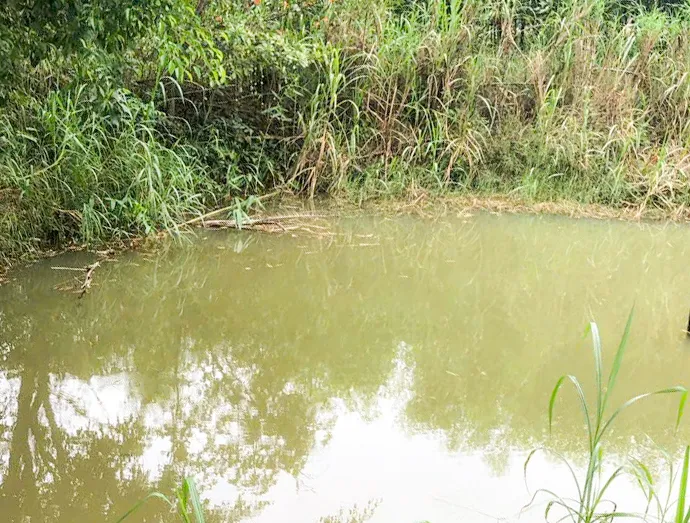 Xót xa cháu bé 1 tuổi đuối nước tử vong ở ao nuôi cá trong vườn