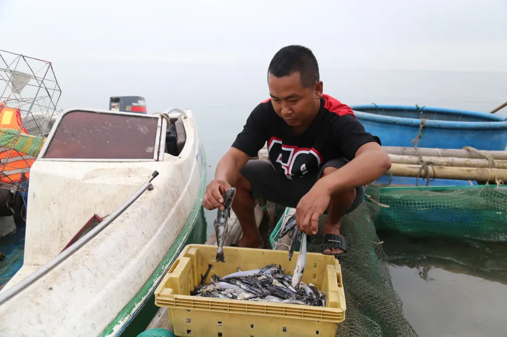Liên quan tình trạng cá chết bất thường, các ngành chức năng ở Quảng Bình đã vào cuộc xác định nguyên nhân ban đầu. Ảnh: B.T ca-nuoi-long-tren-bien-chet-bat-thuong (2).JPG