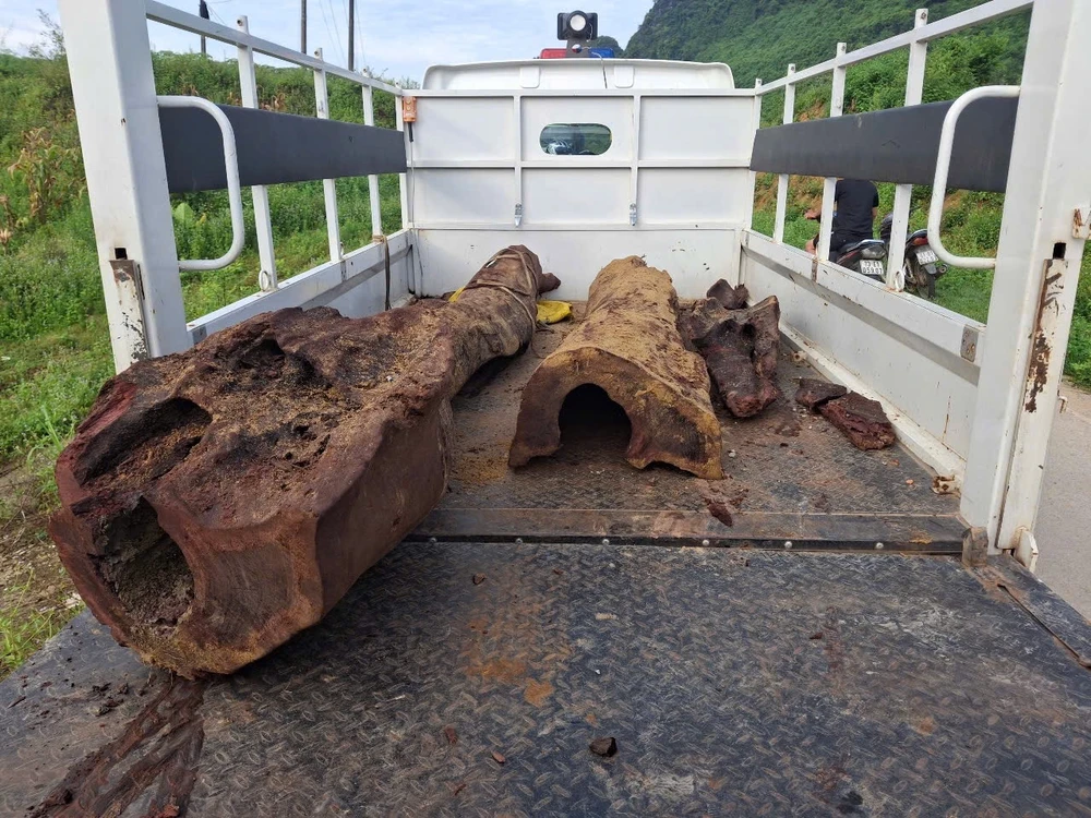 Phát hiện cây sưa nằm vùi lấp dưới lòng suối, người dân lén lút khai quật trong đêm