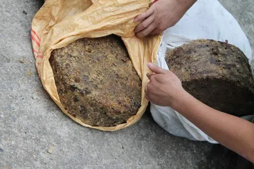 Đột kích kho chế biến dầu mỡ bẩn rán quẩy ảnh 2 - 2