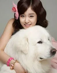 7 lý do yêu cún thay vì yêu bạn trai! ảnh 1