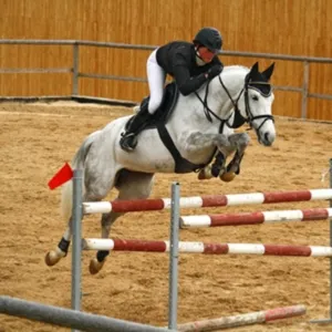 Những công việc kỳ lạ lương cao ngất - Hình 6 Nhung cong viec ky la luong cao ngat-Hinh-6