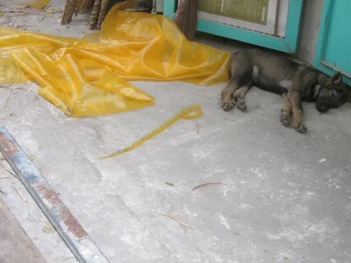 Cận cảnh công nghệ 'giẫm chân' sản xuất miến - 4