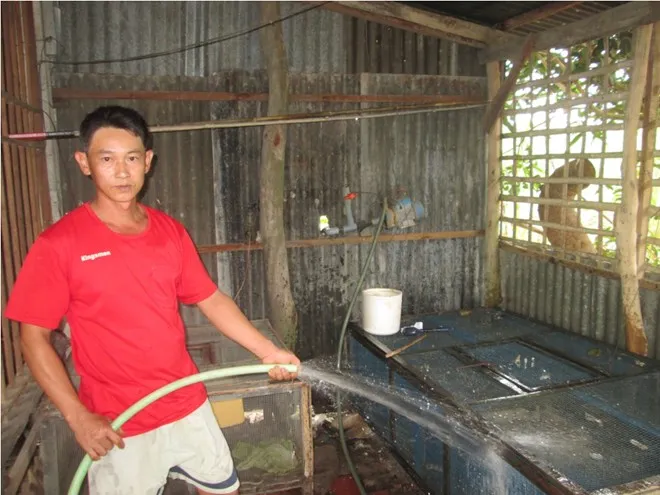 Trung Quốc ngưng mua, nông dân miền Tây lao đao vì rắn ảnh 3 Trung Quốc ngưng mua, nông dân miền Tây lao đao vì rắn ảnh 3