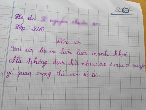Điều ước 'ba mẹ không chửi nhau' của học sinh lớp 2 - 1