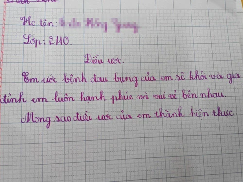 Điều ước 'ba mẹ không chửi nhau' của học sinh lớp 2 - 4