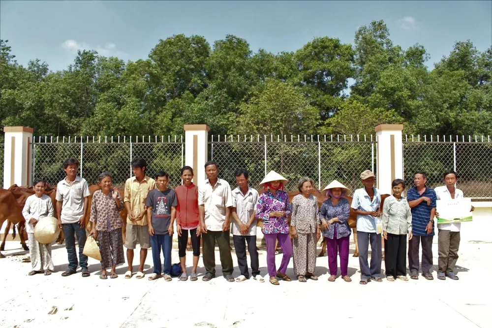 Trao tặng bò giống cho người dân Long An ảnh 1