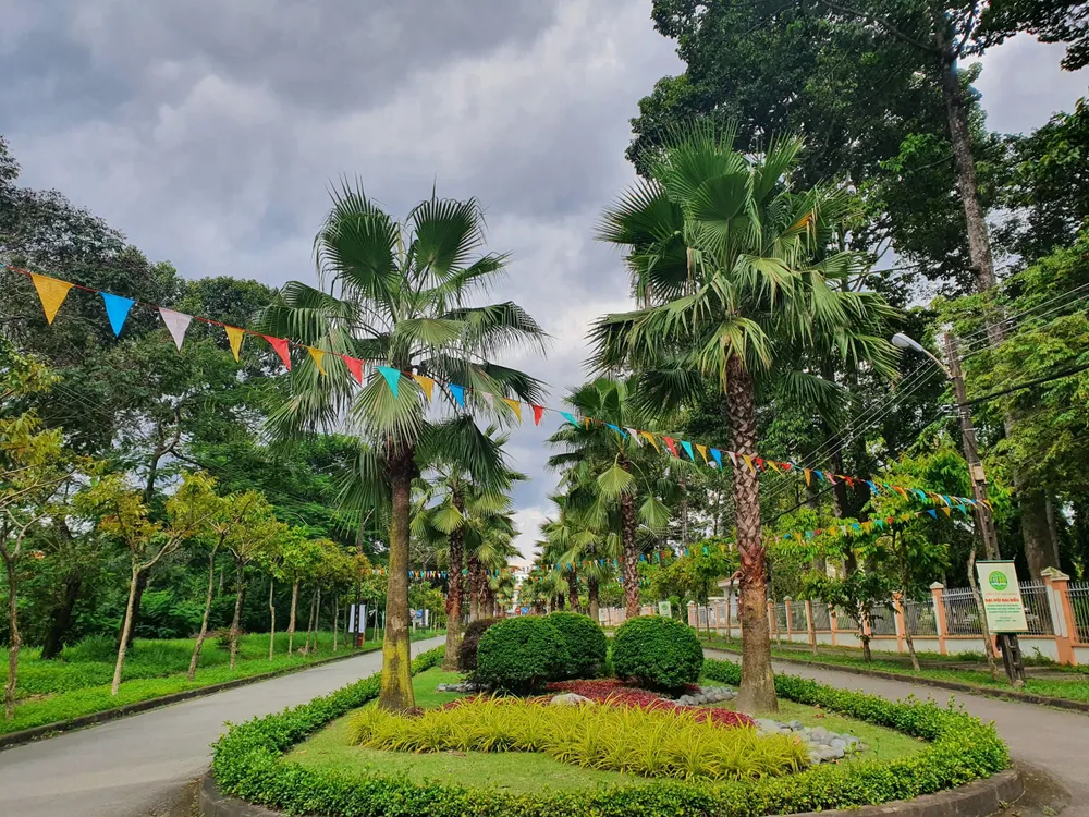 Cảnh quan trường Đại học Nông TP.HCM do thầy cô và sinh viên của ngành Cảnh quan và Kỹ thuật Hoa viên thiết kế. Ảnh: MT Cảnh quan trường Đại học Nông TP.HCM do thầy cô và sinh viên của ngành Cảnh quan và Kỹ thuật Hoa viên thiết kế. Ảnh: MT