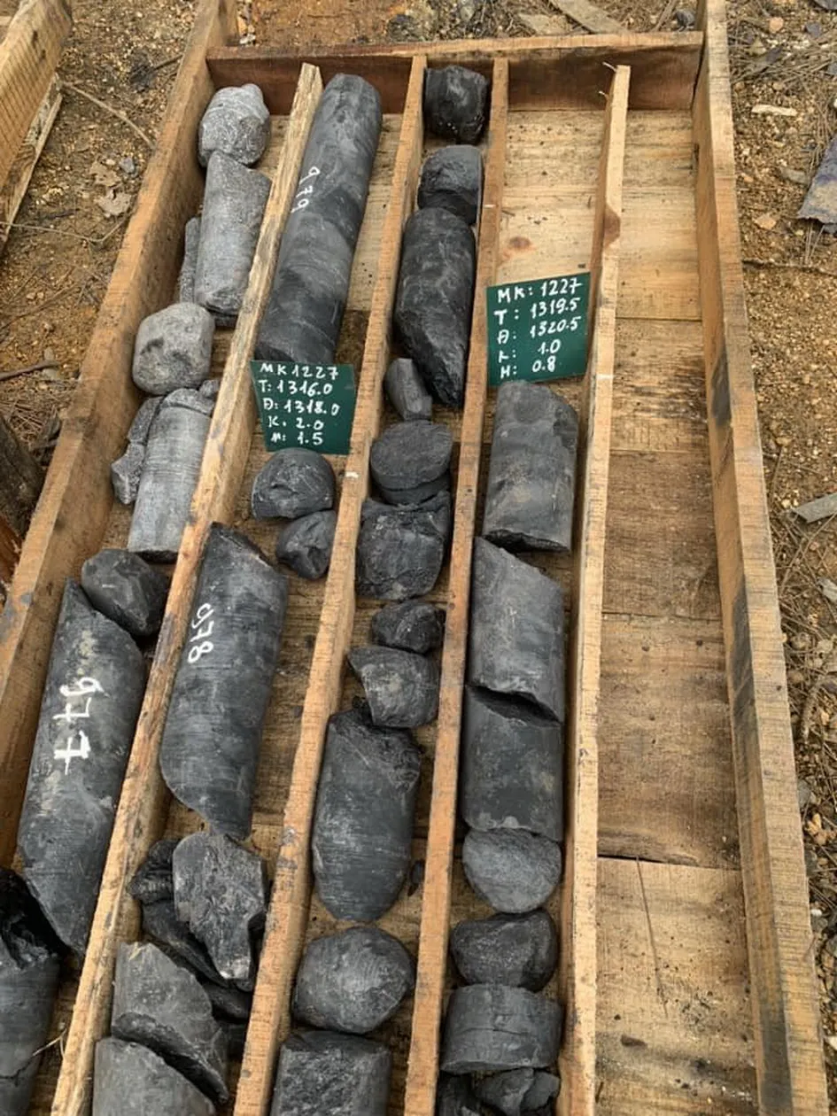 Mẫu địa tầng tại độ sâu 1320m.