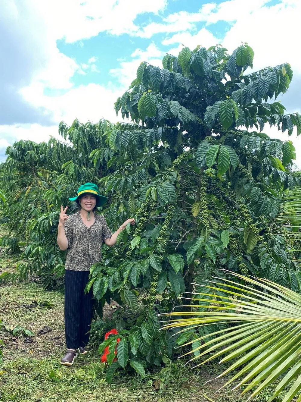 Chị Nguyễn Thị Tuyết Liên (TT Lộc Thắng, Bảo Lâm, Lâm Đồng) vui mừng bên vườn cây đạt năng suất cao khi sử dụng sản phẩm NPK Phú Mỹ vi sinh. dam-phu-my-npk-2.jpg