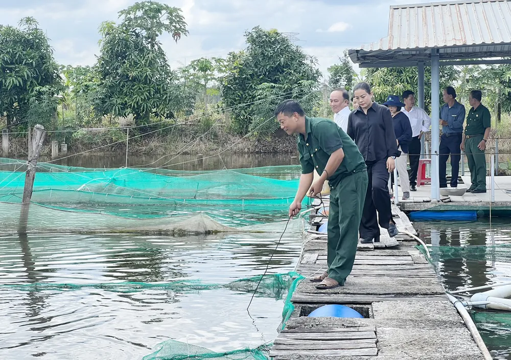 Ông Nguyễn Văn Sáu bên vuông nuôi cá tại ngụ ấp 1, xã Long Thuận, huyện Thủ Thừa, Long An. quy-ho-tro-cong-dong-David-Duong-3.jpg