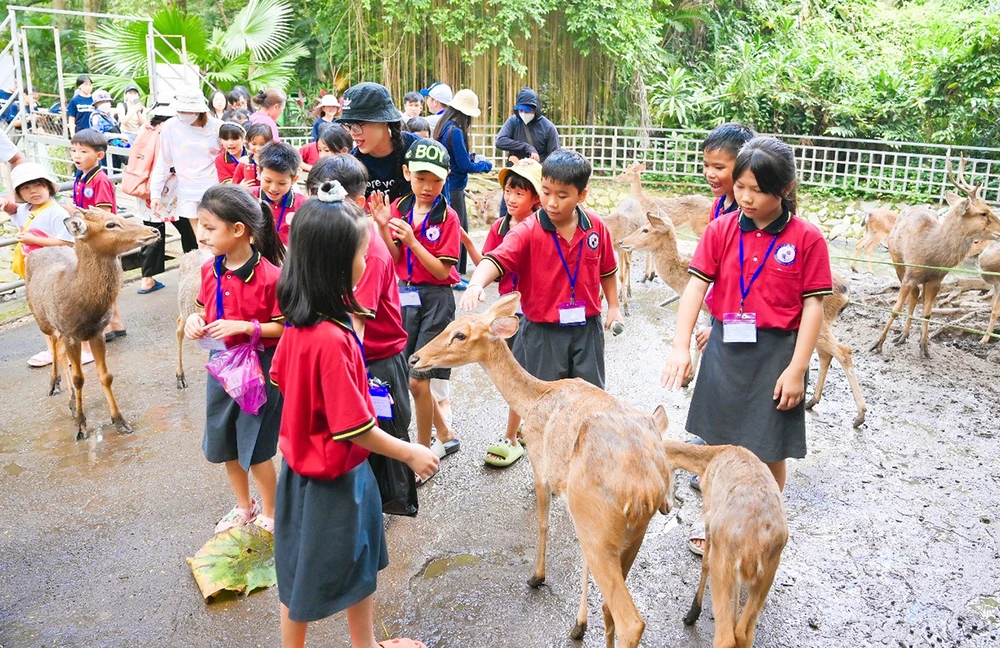Manulife Việt Nam tổ chức tuần lễ tình nguyện vì cộng đồng