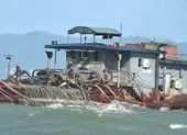 TP.HCM: Xử lý 83 vụ khai thác cát trái phép 