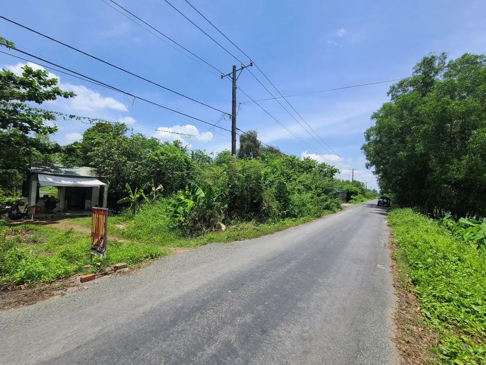 Ngay chân cầu An Hạ, dọc con kênh nhánh của kênh An Hạ (xã Tân Thới Nhì, huyện Hóc Môn), là một phần của KĐT Tây Bắc (trong ảnh). Khu đô thị hiện lên là cảnh toàn cây cối, rừng rậm.