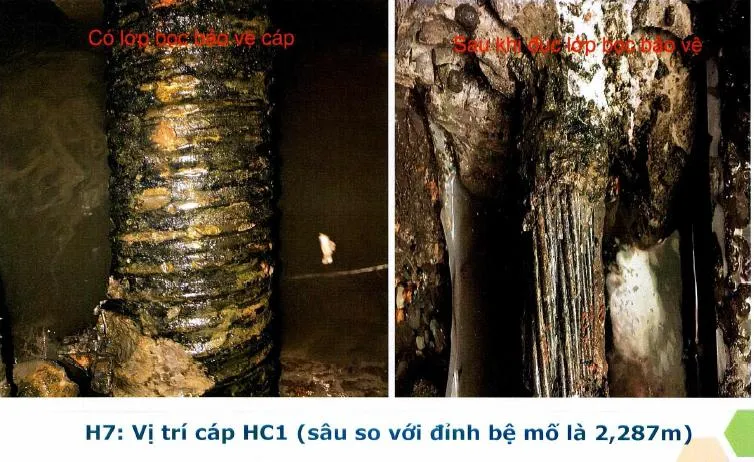 Cáp ngầm có lớp bọc bảo vệ và sau khi bỏ lớp bảo vệ.