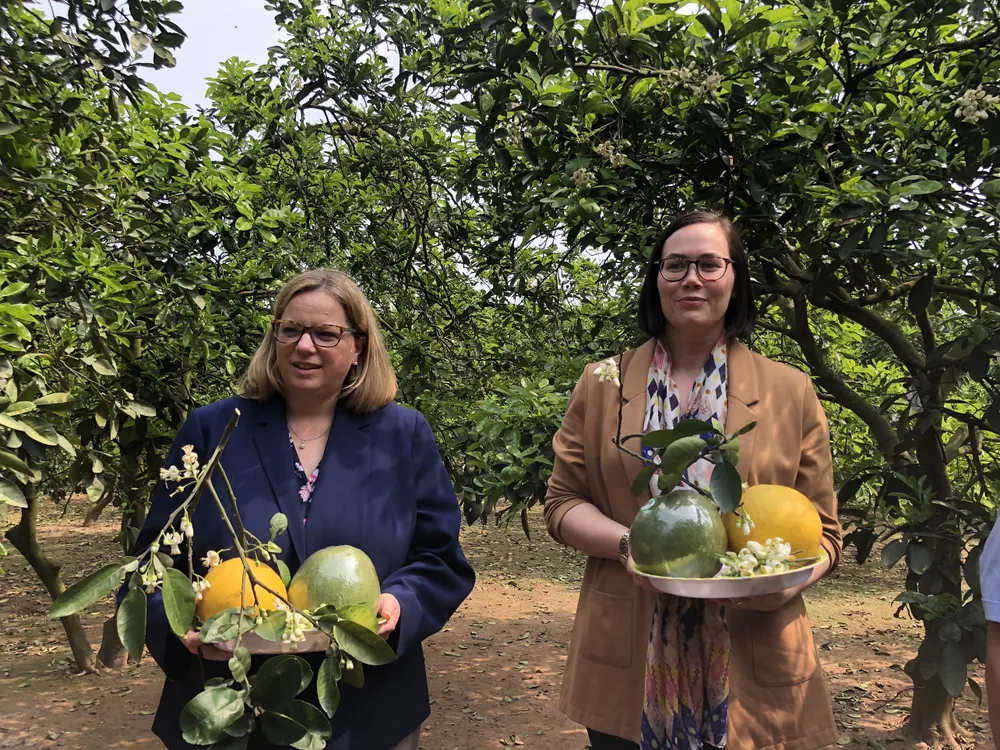 Thứ trưởng Moffitt (trái) và người đồng cấp Taylor được tặng bưởi Diễn khi thăm vườn trồng ở Hoài Đức hôm nay. Ảnh: MINH TRÚC Thứ trưởng Moffitt (trái) và người đồng cấp Taylor được tặng bưởi Diễn khi thăm vườn trồng ở Hoài Đức hôm nay. Ảnh: MINH TRÚC