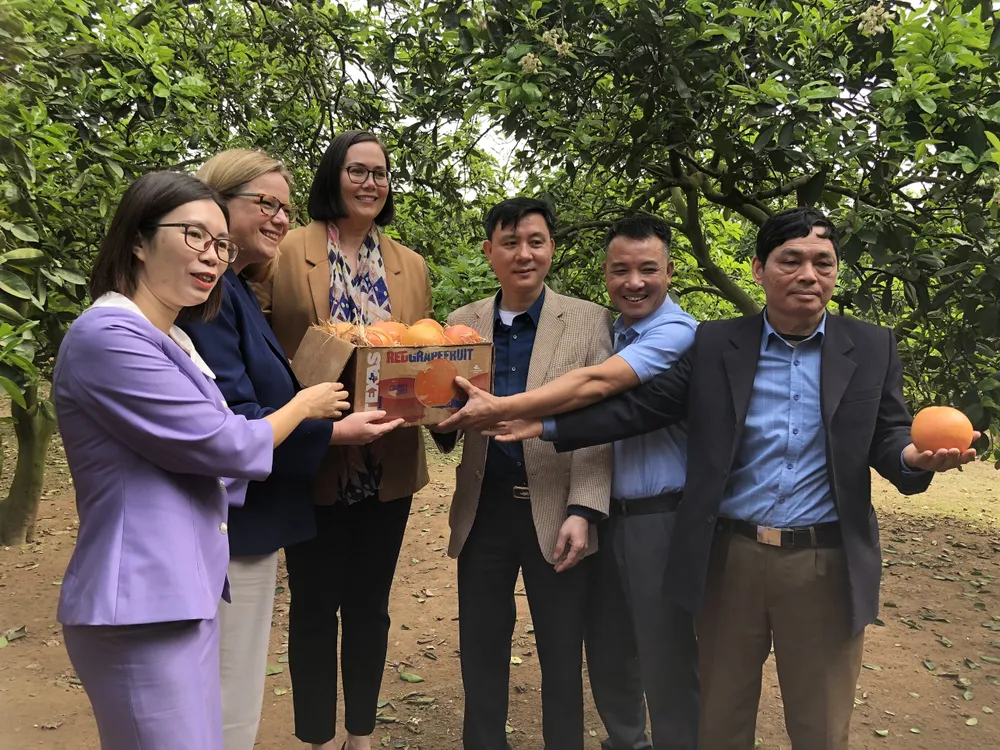 Hai vị thứ trưởng trao tặng cho đại diện địa phương những quả bưởi chùm tới từ bang Texas, Mỹ. Ảnh: MINH TRÚC Hai vị thứ trưởng trao tặng cho đại diện địa phương những quả bưởi chùm tới từ bang Texas, Mỹ. Ảnh: MINH TRÚC