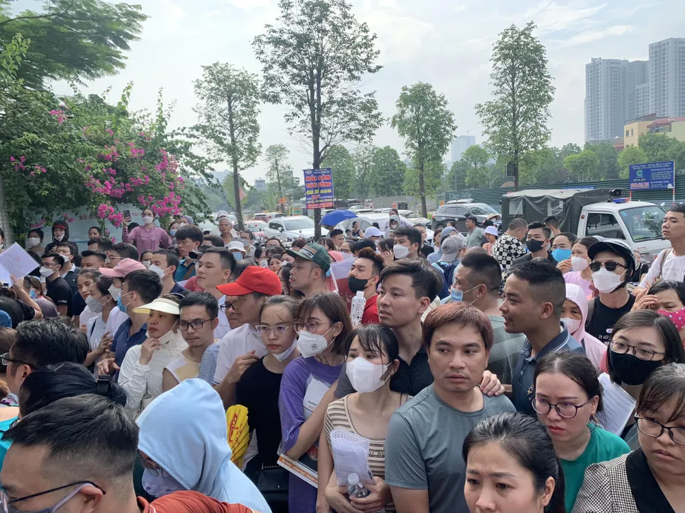 Theo kế hoạch tuyển sinh năm học mới, trường Tiểu học Vạn Bảo chỉ tuyển sinh lớp 1 tổng 200 học sinh, chia cho 6 lớp. Ảnh: Phi Hùng Theo kế hoạch tuyển sinh năm học mới, trường Tiểu học Vạn Bảo chỉ tuyển sinh lớp 1 tổng 200 học sinh, chia cho 6 lớp. Ảnh: Phi Hùng