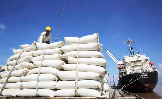 Việt Nam đang đứng trước thời cơ vàng để xuất khẩu gạo tăng được cả sản lượng lẫn giá xuất khẩu. Ảnh: PLO xuat-khau-gao-1586755993106-16045811373081682229348.jpg