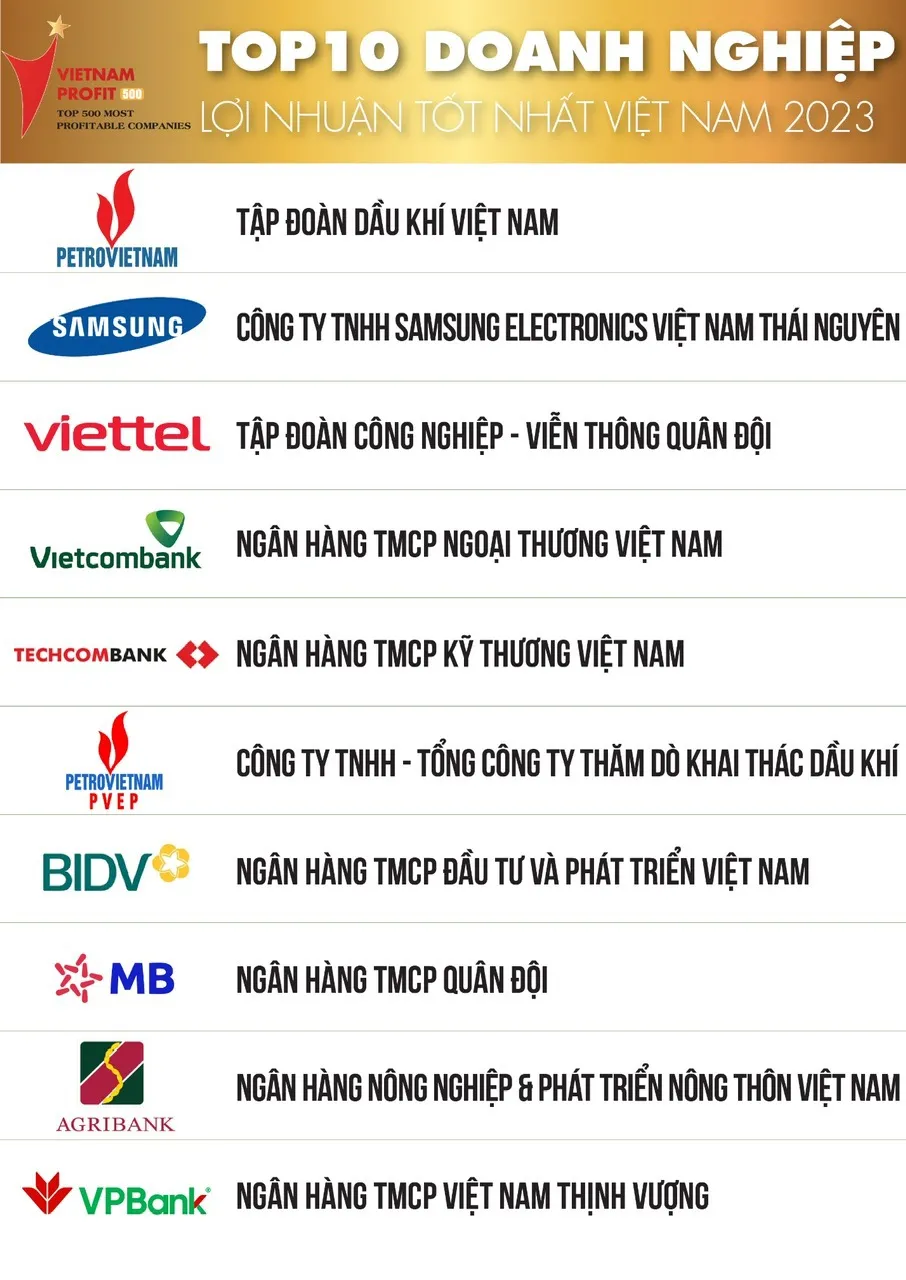 Top 10 Bảng xếp hạng Top 500 Doanh nghiệp lợi nhuận tốt nhất Việt Nam năm 2023.jpeg
