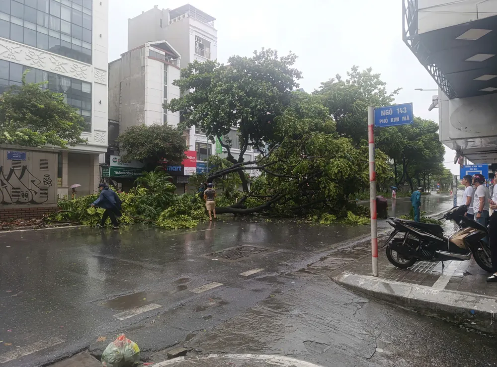 Cơn bão số 3.png