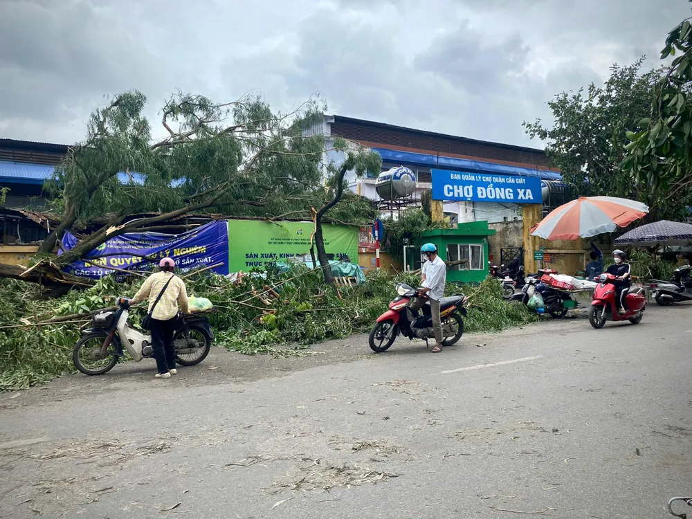 Dù bên ngoài vẫn còn cây xanh đổ do ảnh hưởng của bão số 3, nhưng chợ đã đi vào hoạt động bình thường. Ảnh: MINH TRÚC BÃO SỐ 3