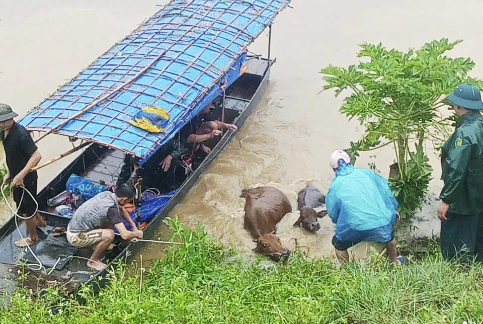 tỉnh lào cai 1.jpg