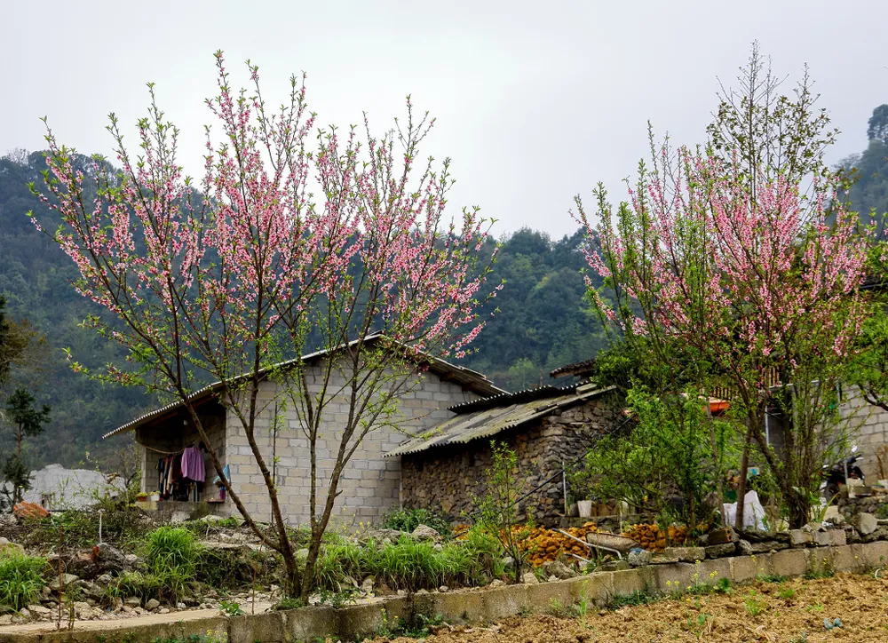 lô lô chải hà giang 1.jpg