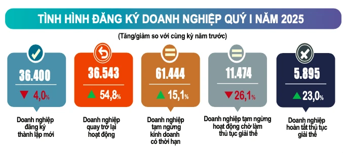 Số doanh nghiệp rút lui khỏi thị trường vẫn cao hơn tổng số doanh nghiệp thành lập mới và quay trở lại hoạt động. Ảnh: MINH TRÚC