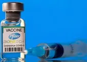 Vì sao Ấn Độ chưa tiêm vaccine liều tăng cường như nhiều nước khác? ảnh 2 Tổng Giám đốc BioNTech: Mọi người sẽ cần tiêm ngừa COVID-19 hằng năm