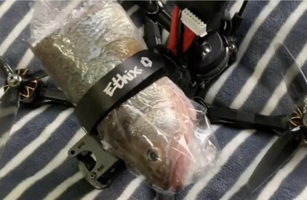 Người hàng xóm tốt bụng gửi nửa con cá cho nhà bên bằng drone. Ảnh: DOUYIN