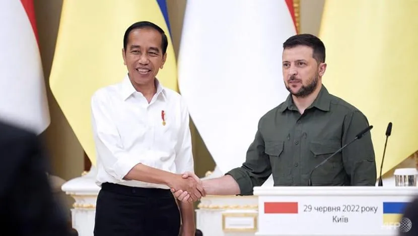 Tổng thống Ukraine - ông Volodymyr Zelensky (phải) và người đồng cấp Indonesia - ông Joko Widodo trong cuộc họp báo tại Kiev (Ukraine) hồi tháng 7. Ảnh: AFP Tổng thống Ukraine - ông Volodymyr Zelensky (phải) và người đồng cấp Indonesia - ông Joko Widodo trong cuộc họp báo tại Kiev (Ukraine) hồi tháng 7. Ảnh: AFP