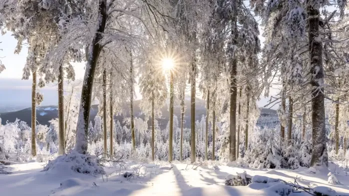 Các nguồn dự báo sớm cho thấy châu Âu sẽ đón mùa đông lạnh hơn. ẢNH: REUTERS Các nguồn dự báo sớm cho thấy châu Âu sẽ đón mùa đông lạnh hơn. ẢNH: REUTERS
