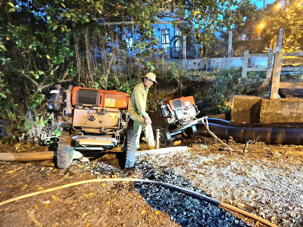 thủ phủ mai vàng (10).jpg