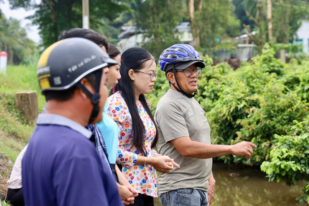 thủ phủ mai vàng (16).jpg