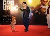 Vợ cố NSND Bùi Cường rưng rưng khi 'Cậu Vàng' ra mắt ảnh 4 Những hình ảnh Cậu Vàng pose dáng trên thảm đỏ