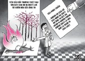 UBND phường thông tin về vụ hơn 300 cây cao su của 1 hộ dân bị đốn hạ ảnh 2 Kiện chủ vườn mía đòi bồi thường 126 cây cao su