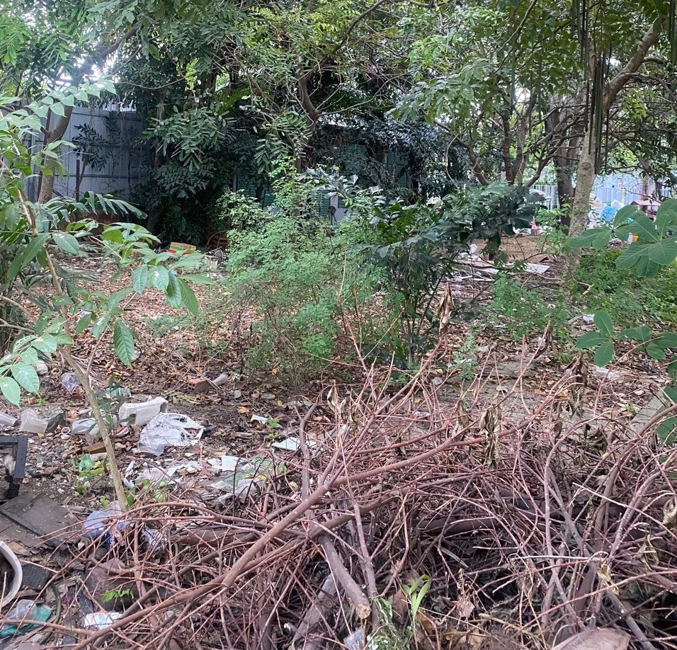 Hình ảnh trước và sau khi cải tạo khu đất trống 1