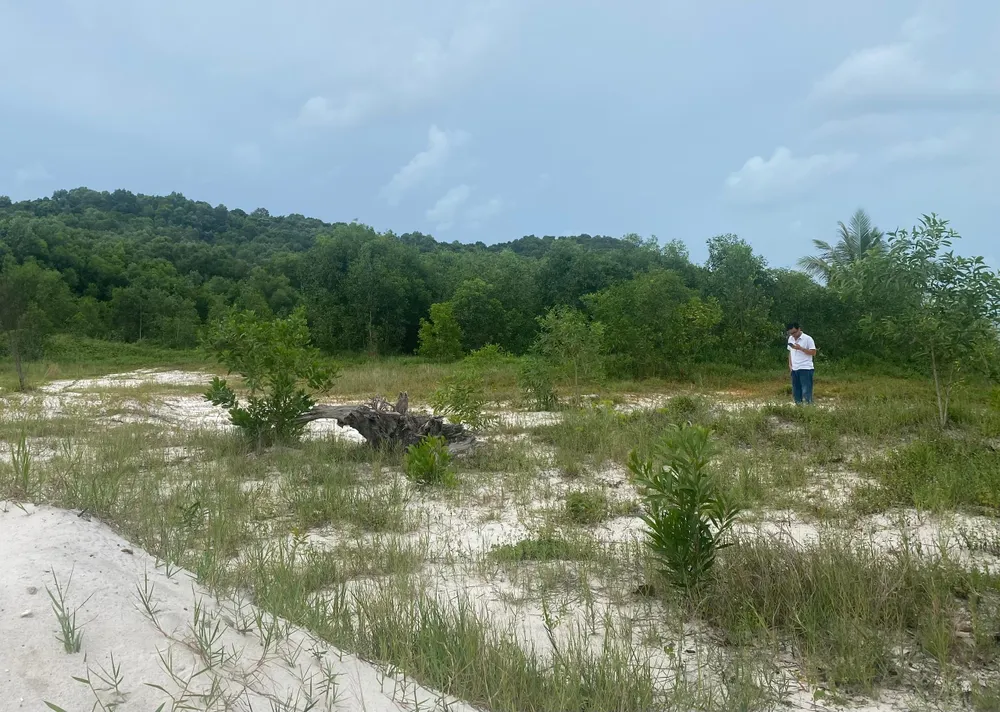 Khu vực Công ty Xuân Phúc Phú Quốc đang xin chấp thuận chủ trương làm dự án. Ảnh: HỮU ĐĂNG Khu vực Công ty Xuân Phúc Phú Quốc đang xin chấp thuận chủ trương làm dự án. Ảnh: HỮU ĐĂNG