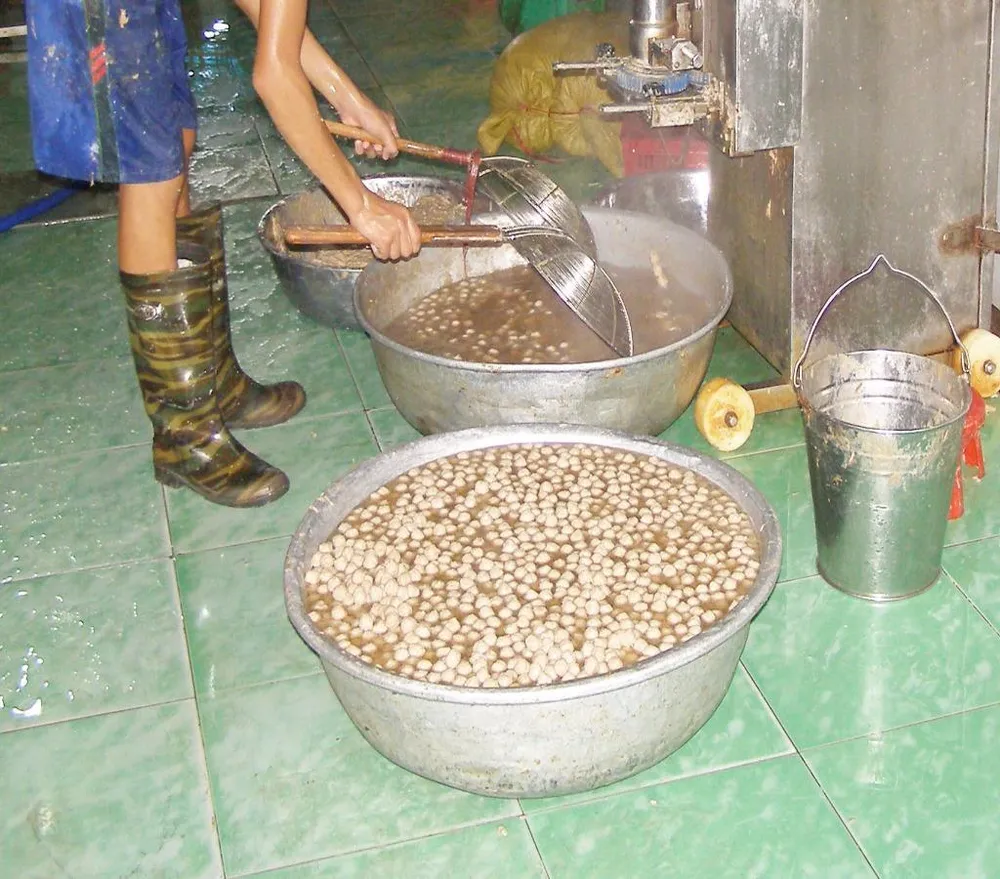 Một cơ sở sản xuất bò viên ở TP.HCM không đảm bảo an toàn thực phẩm