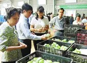 Thịt đông lạnh kém chất lượng 'canh me' tuồn ra thị trường ảnh 2 Một con gà… bán cho nhiều cơ sở kinh doanh