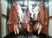 Heo lở mồm long móng bị chặt 4 chân để 'che mắt' người mua ảnh 2 Heo lở mồm long móng 'canh me' vào TP.HCM