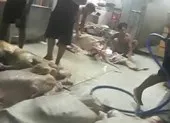 Phạt 6 công ty sau loạt thông tin về thịt bẩn ảnh 2 Thịt bò, gà bẩn vương vãi khắp sàn nhà, gần cống thoát nước