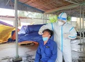 TP.HCM: Tạm ngưng tiêm cho trẻ do thiếu vaccine ngừa COVID-19 ảnh 2 Đà Nẵng: Đánh giá đúng nguy cơ dịch, xử lý nhanh chuỗi lây ở khu công nghiệp