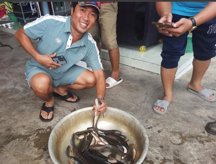 Thành quả sau một buổi lội ruộng bắt lúa. Ảnh: HỒ LIỀU